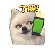 811077978