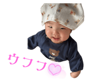 811078740