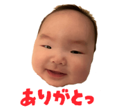 811078741