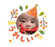 811096685