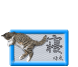 811105092