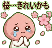 811111542