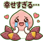 811111561