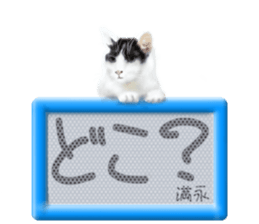 811113556