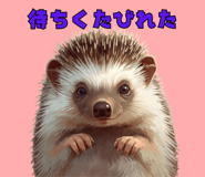811114534