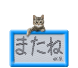 811114921