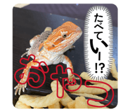 811118835