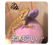 811118860