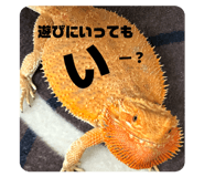 811118864