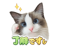 811120721