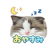 811120725