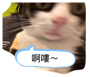 811121234