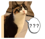 811121235