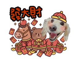 811122042