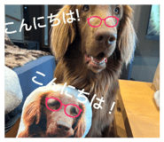 811126548