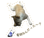 811126842