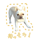 811126846