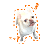 811126866