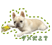 811126870