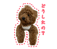 811126873