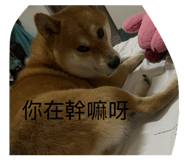 811140753