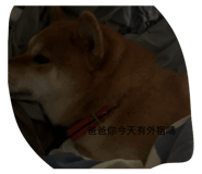 811140761