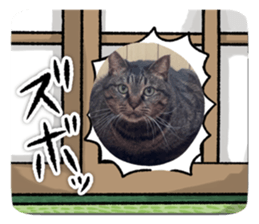 811153635