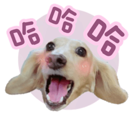 811186398