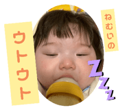 811229074