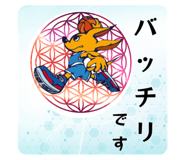811229526