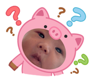 811240348