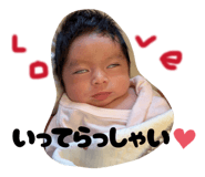 811278439