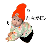 811278581