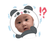 811290313