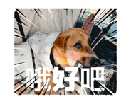 811291921