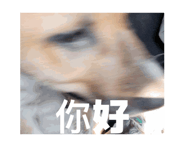 811291934