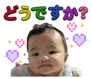 811292026