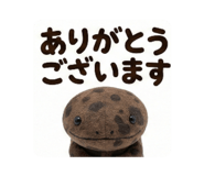 811292634