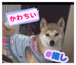 811303824