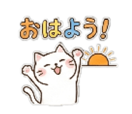 811304040