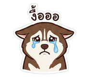 811305515