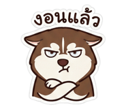 811305516