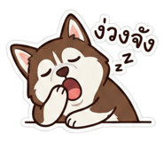 811305517