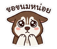 811305520