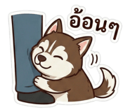 811305533