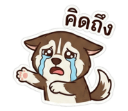 811305534