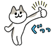 811306017