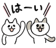 811306018