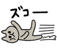 811306020