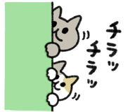 811306035